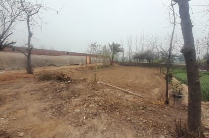 Semi-Control Sheds for Sale on Sahianwala to Sangla Hill Road