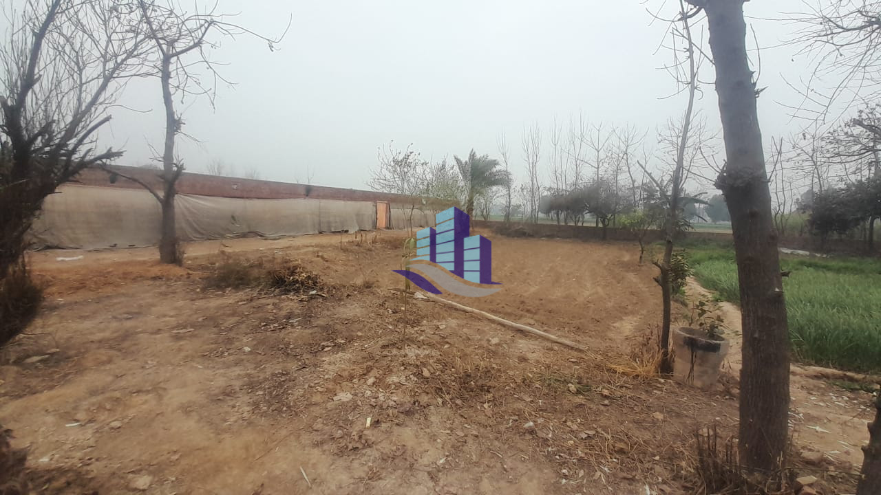 Semi-Control Sheds for Sale on Sahianwala to Sangla Hill Road