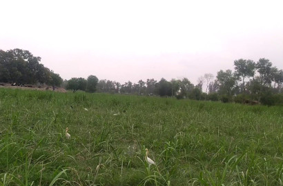 6 Canal Farmhouse Land for Sale Near Jhang Road Bypass, Faisalabad