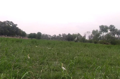 **27 Acre Prime Agricultural Land For Sale Near Lyallpur Galleria 3 – Ideal Investment Location**