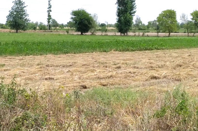 9.5 Marla Plot for Sale on Samundri Road in Umer Garden