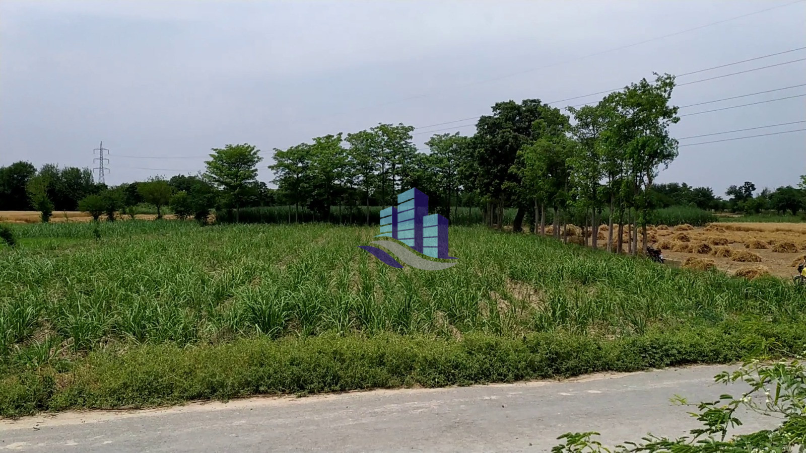 2 Acre Agricultural Land for Sale Near Samundri Road Bypass Link Road, Faisalabad