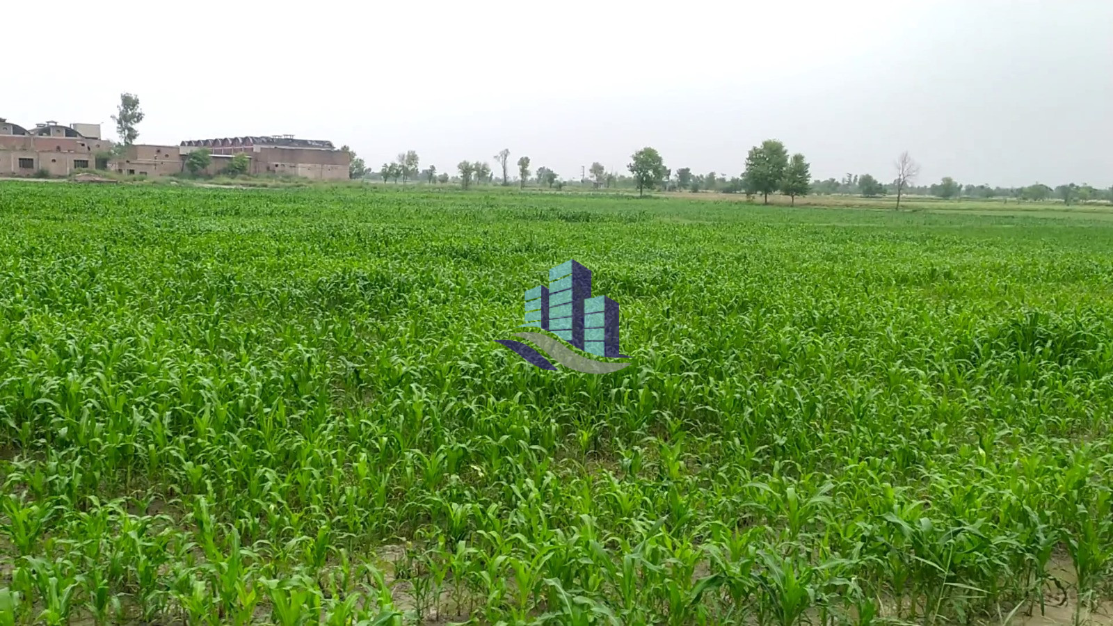 5 Acre Agriculture Land For Sale At Link Jarranwala Road Faisalabad