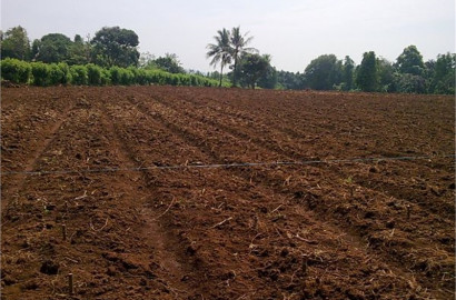 57 Acre Agriculture Land For Sale Near Samundari Road Jahangeer Mor Faisalabad