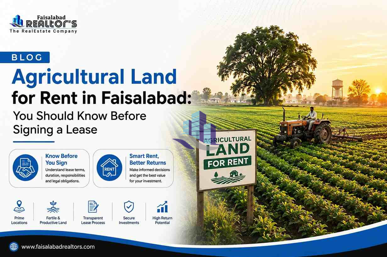 agricultural-land-for-rent-in-faisalabad-you-should-know-before-signing-a-lease-1.jpg