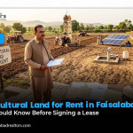 Agricultural Land for Rent in Faisalabad: You Should Know Before Signing a Lease