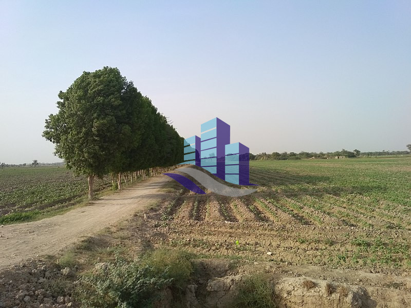 6 Acre Fully Agriculture Land For Sale Link Pansara To Dijkot Road Faisalabad