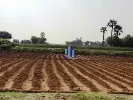 23 Acres Agricultural Land for Sale Near Jagat Pur