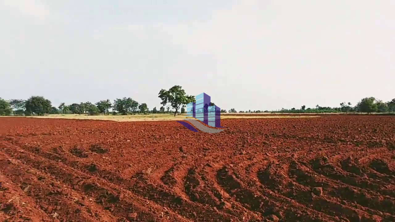 25 Acres Prime Agricultural Land for Sale on Satiana Jaranwala Road – Ideal for Farming & Investment