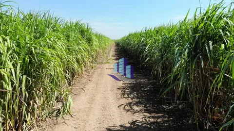 50 Acres Prime Agricultural Land for Sale on Milat Road