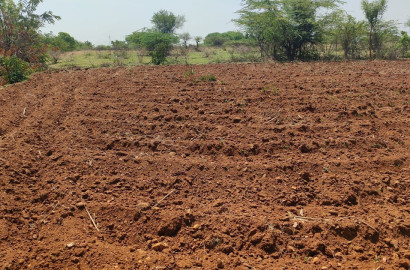 25 Acres Prime Agricultural Land for Sale on Satiana Road – Ideal for Farming & Investment