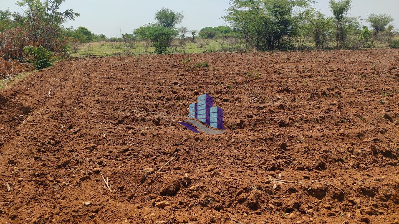 25 Acres Prime Agricultural Land for Sale on Satiana Jaranwala Road – Ideal for Farming & Investment