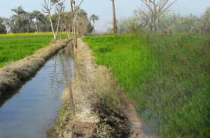 26 Acres Prime Agricultural Land for Sale in Khadarwala – Fertile & Ready for Farming