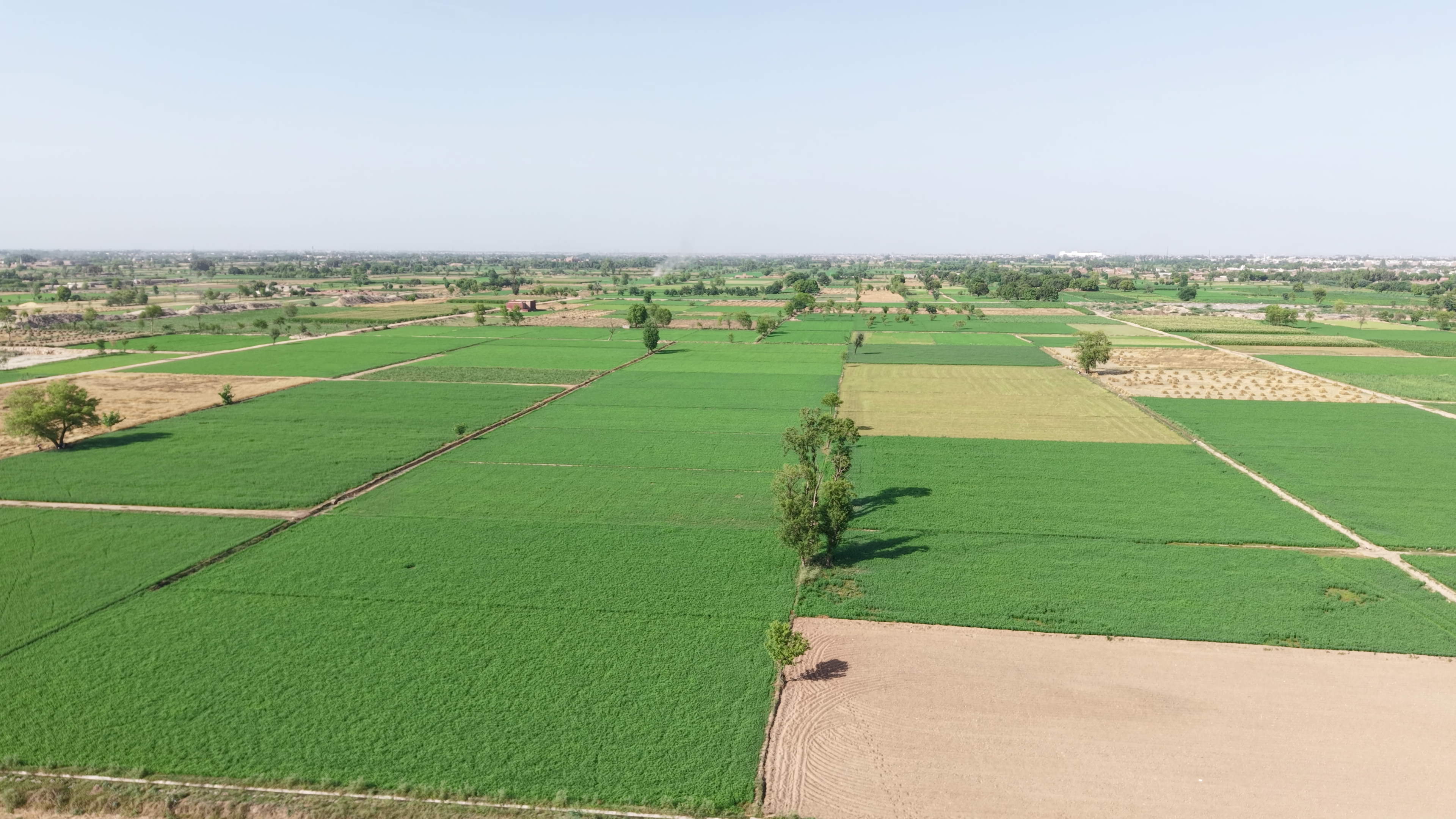 22 Acre Fully Agriculture Land Best For Farm House  Near Jasoana Bangla 34 Chak Faisalabad