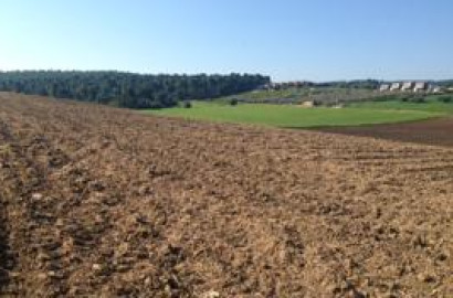 112 Acre Agriculture Land Available For Sale Nearby Jahangeer Mor Rjoa Faisalabad