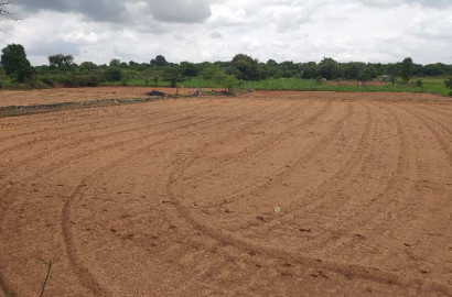 Agricultural Land for Sale Near Saloni Jhal – Prime Location