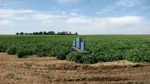 17 Acres Agricultural Land for Sale on Jarawala Road