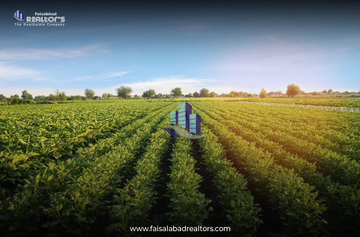agriculture-land-in-pakistan-growth-challenges-and-investment-2.webp