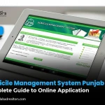 Domicile Management System Punjab: Complete Guide to Online Application