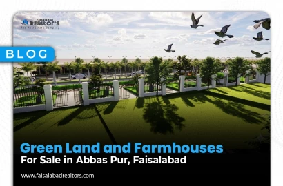 Green Land and Farmhouses for Sale in Abbas Pur, Faisalabad