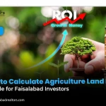 How to Calculate Agriculture Land ROI: A Guide for Faisalabad Investors