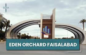 11 Marla Plot for Sale in Nawab City Faisalabad