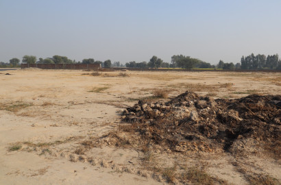 Best Agriculture land for sale in Faisalabad