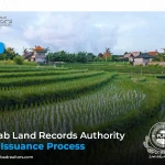 Punjab Land Records Authority: Fard Issuance Process