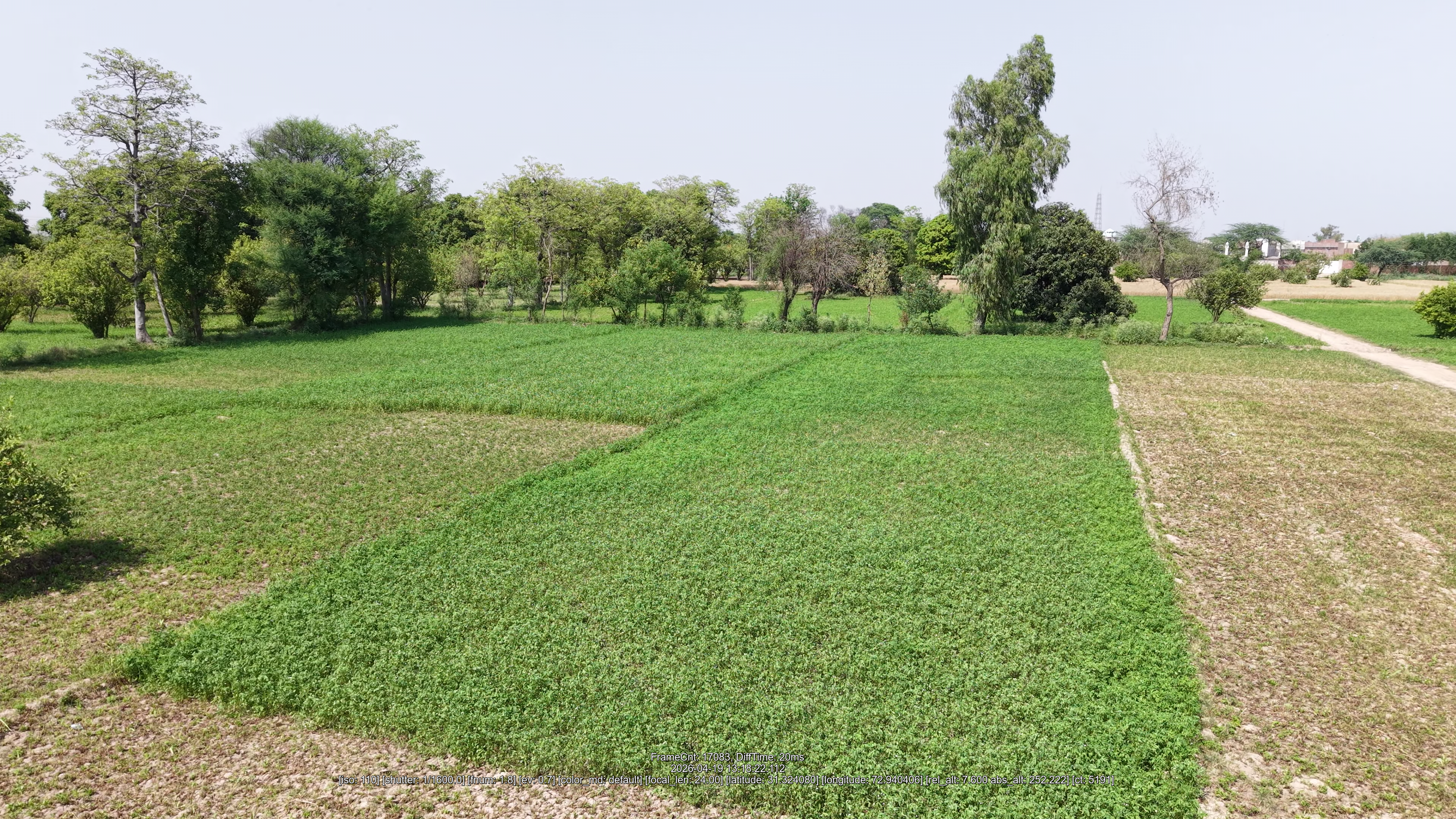4 Acres Agricultural Land for Sale on Dasuha Samundri Road, Faisalabad