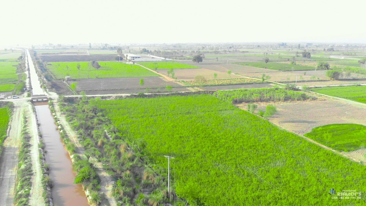 Agriculture land for sale in Faisalabad