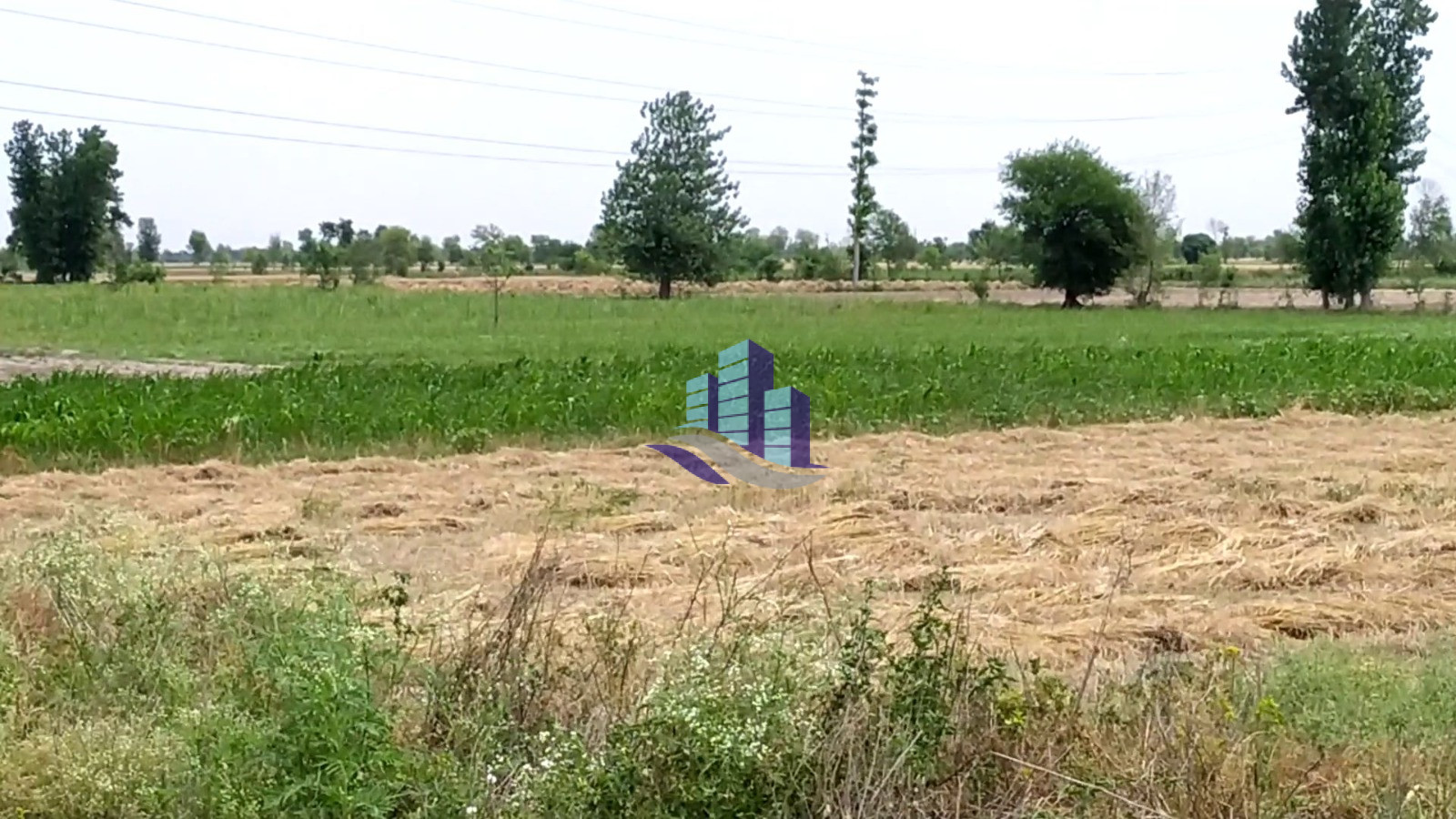 Vip 100 Acer Fully Agriculture Land for Sale Best For Investment Near Gojra Motorway Interchange Faisalabad