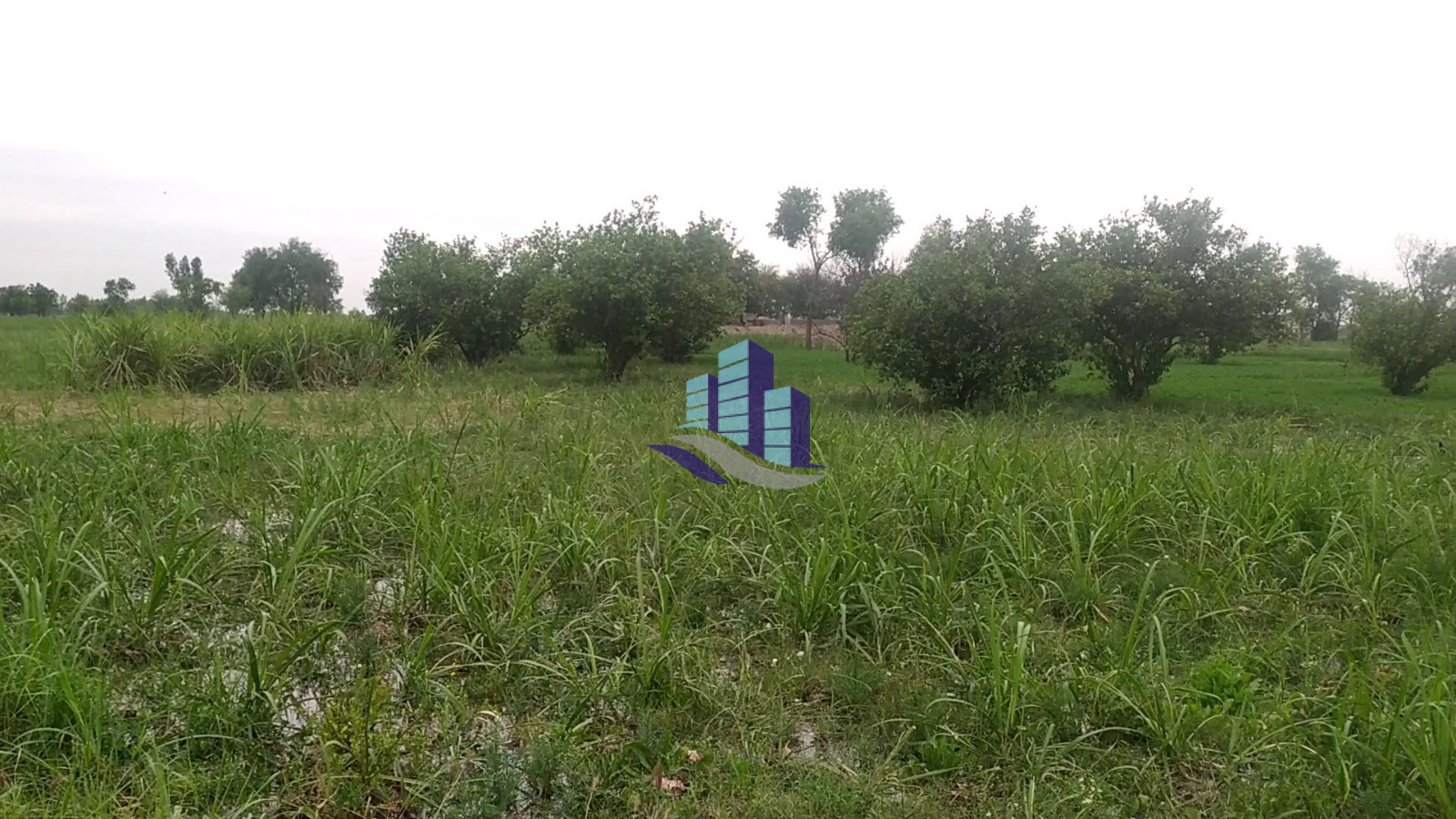Ideal 112 Acre Fully Agriculture land available for sale Best For Investment nearby Jahangir Mor Rjoa  Faisalabad