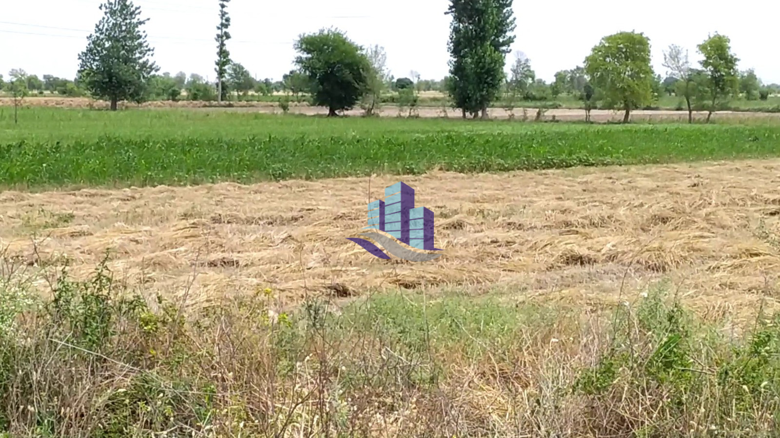 Prime 200 Kanal Fully Agriculture Land for Best investment at Nearby Jarranwala Road Faisalabad