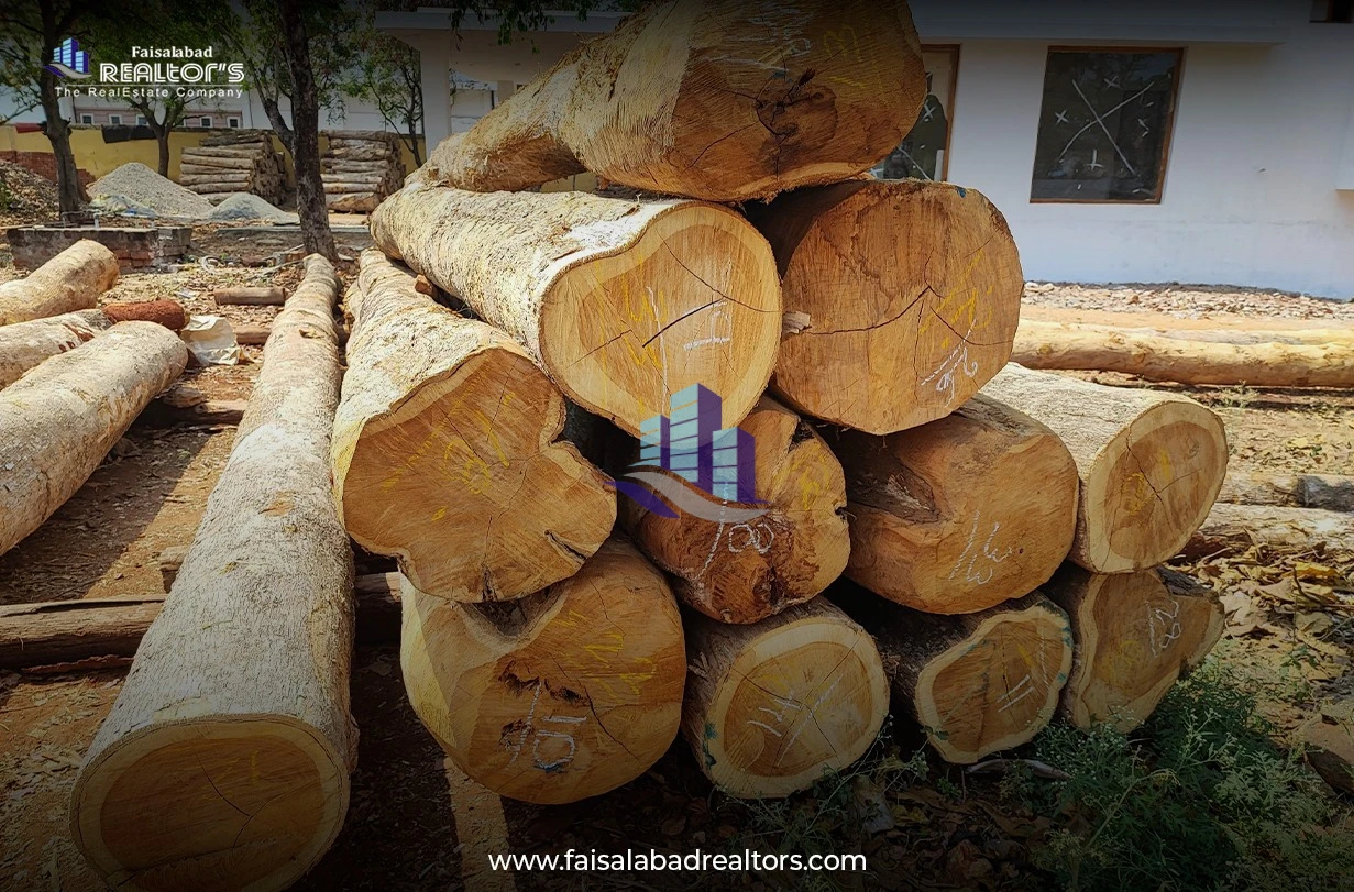 why-teak-wood-is-a-great-choice-for-your-home-webp-1.webp