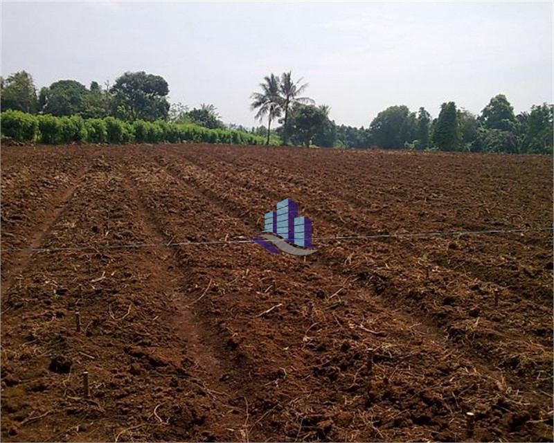 3 Acres Prime Agricultural Land for Sale on Abbas Pur Road Faisalabad