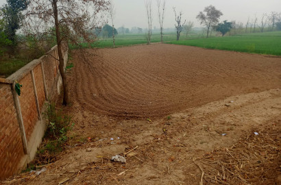 Ideal Agriculture Land Available at Main Samundri Road Bypass