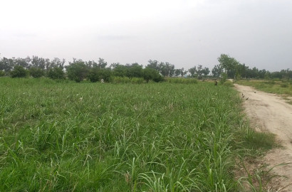 4 Kanal Farmhouse Land for Sale on Abbaspur Road Faisalabad