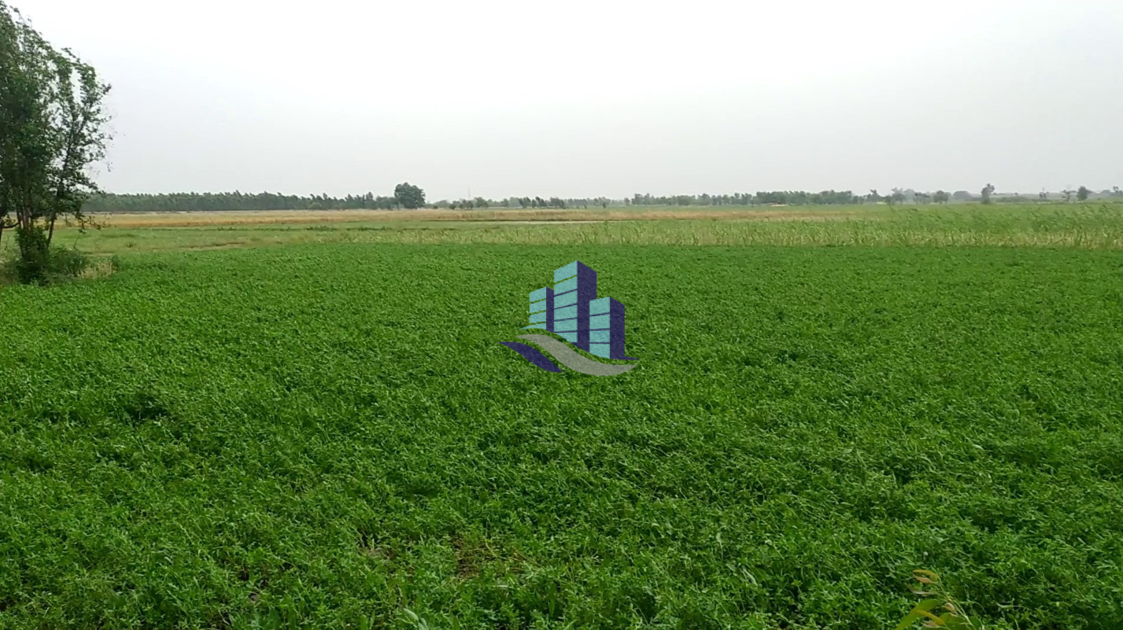 Valuable 20 Acres Agricultural Land for Sale on Jaranwala Khurrrianwala Road Faisalabad