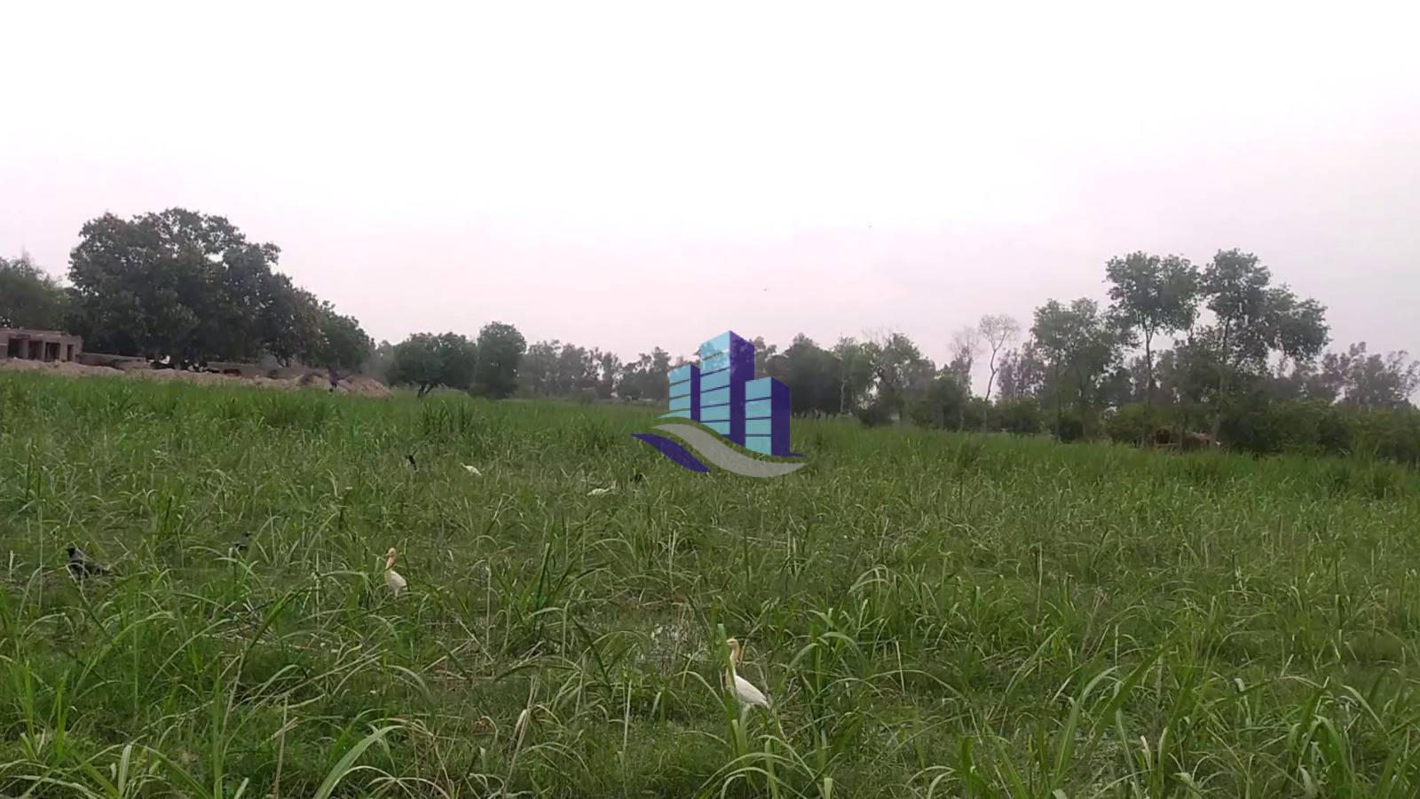 6 Canal Farmhouse Land for Sale Near Jhang Road Bypass, Faisalabad