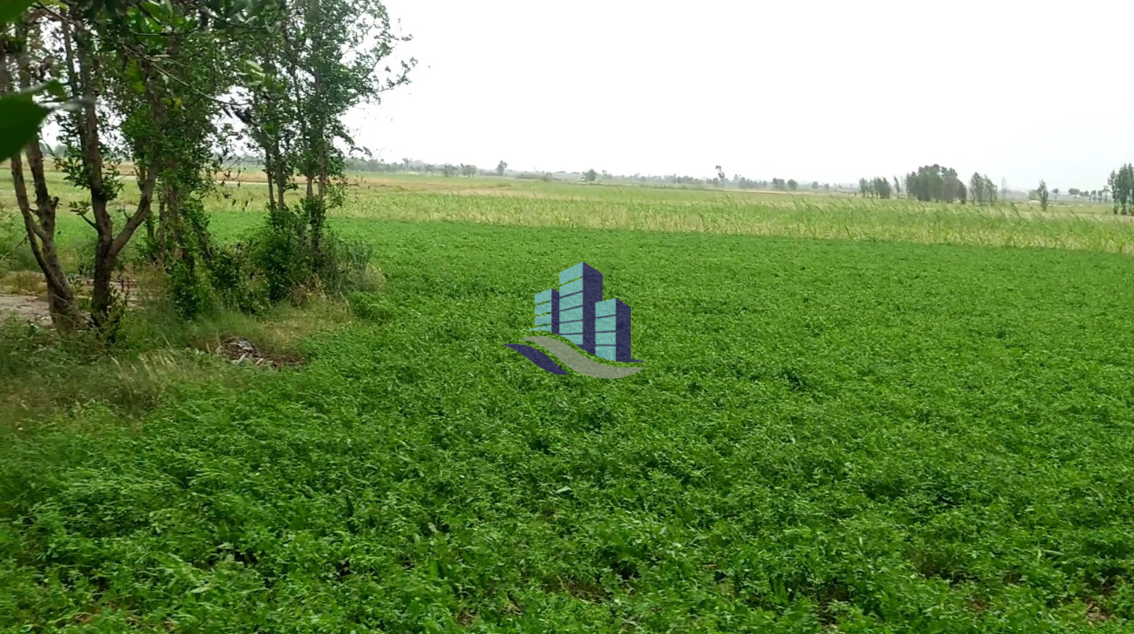 2 Acre Agricultural Land for Sale Near Samundri Road Bypass Link Road, Faisalabad