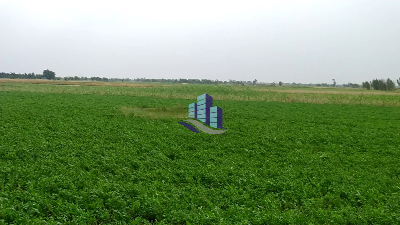 27 Acres Prime Agricultural Land for Sale on Satiana Road
