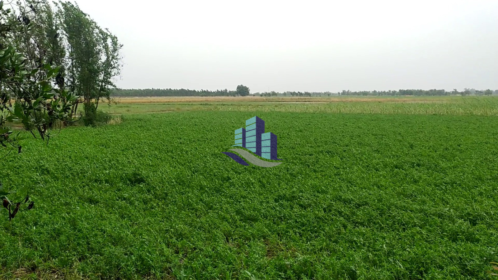 1 Acre Agricultural Land for Sale on Bypass Road – Prime Location for Farming & Investment