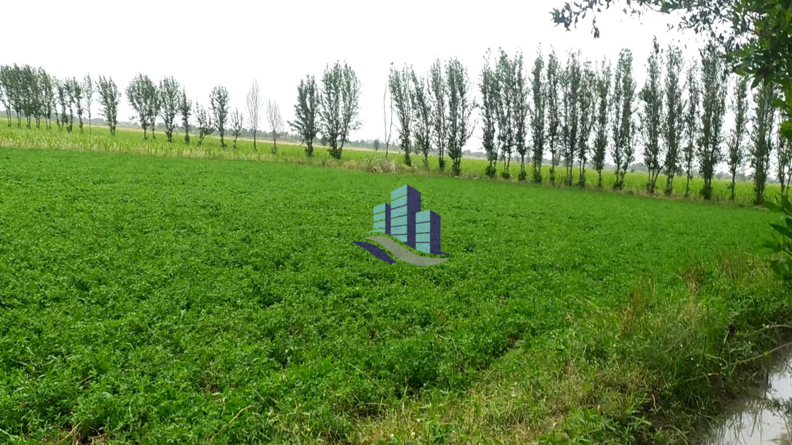 2 Acre Agricultural Land for Sale Near Jhang Road Bypass Link Road, Faisalabad