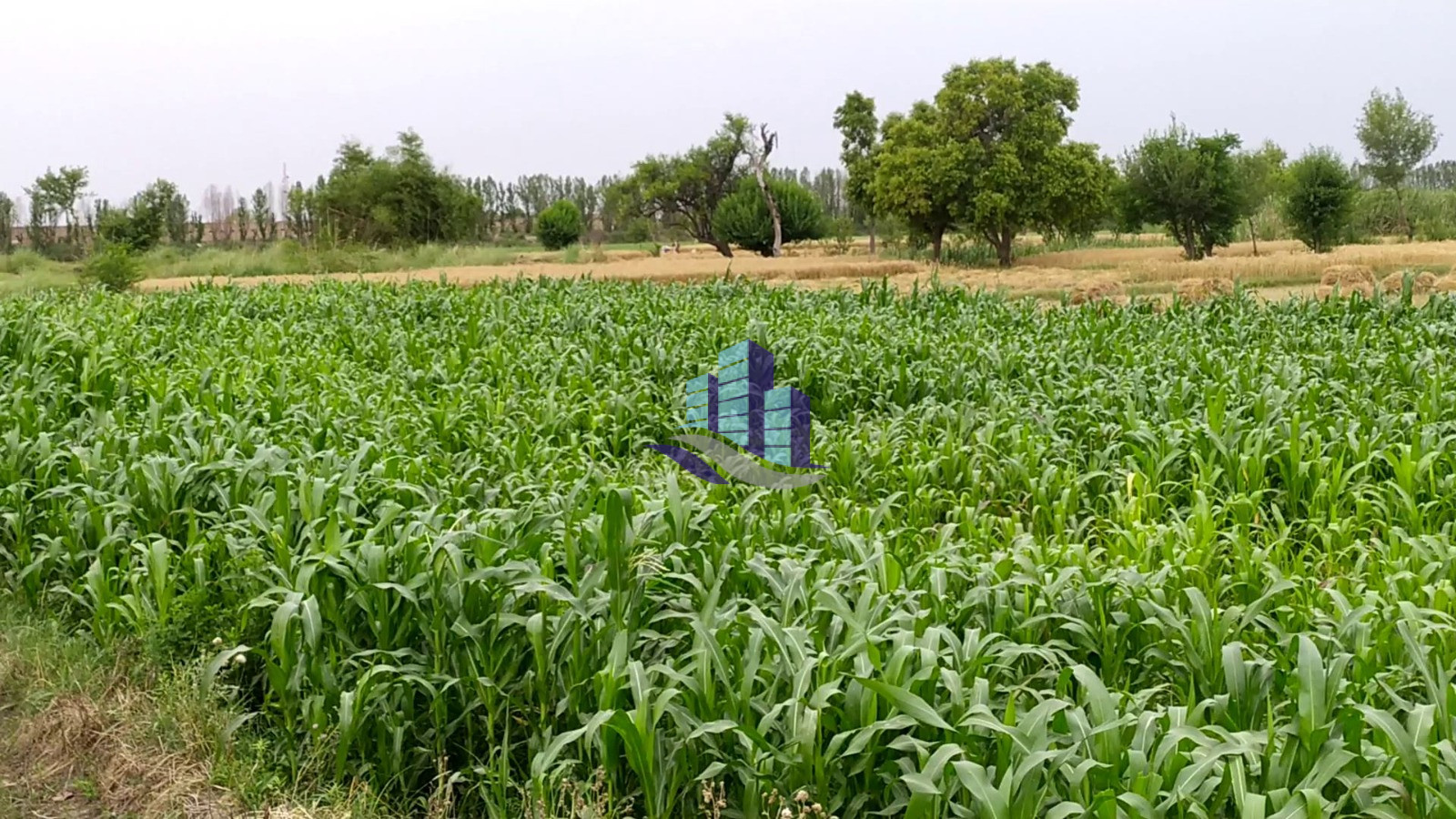 27 Acres Prime Agricultural Land for Sale on Satiana Road