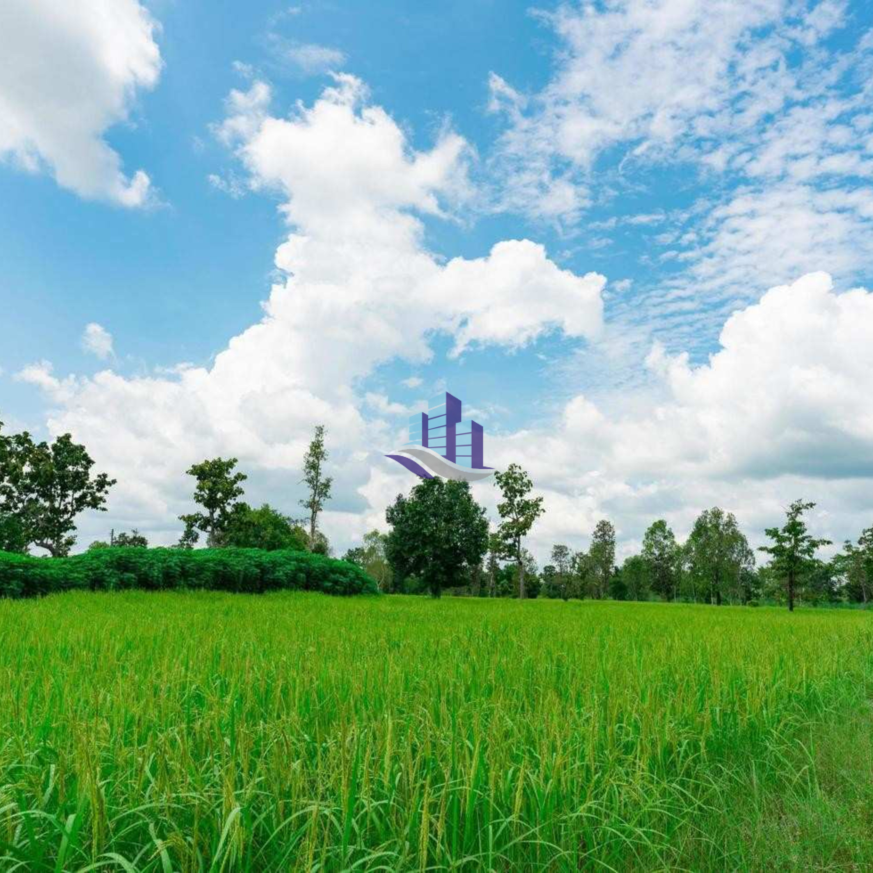 29 Acres Prime Agricultural Land for Sale – Fertile & Investment Ready