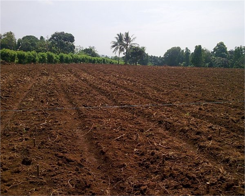3 Acres Prime Agricultural Land for Sale on Abbas Pur Road Faisalabad
