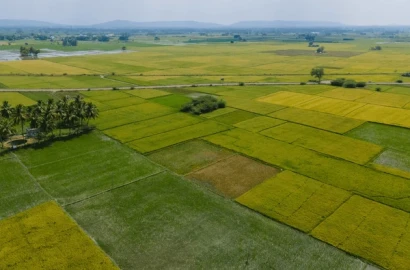 26 Acre Land For Sale Nearby Sheikhupura Road Khurianwala Faisalabad