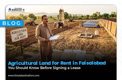 Agricultural Land for Rent in Faisalabad: You Should Know Before Signing a Lease