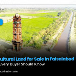 Agricultural Land for Sale in Faisalabad: What Every Buyer Should Know