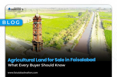 Agricultural Land for Sale in Faisalabad: What Every Buyer Should Know